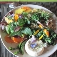Assiette de Pays de Valmagne 2