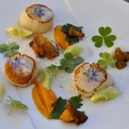 Les Palmiers