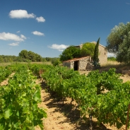 Villeveyrac