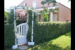 HLOLAR034NO09076-b0.jpg